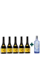 Pack Torres 10 + 1 Citadelle de regalo