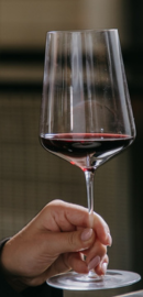 Cata bono regalo: iniciación al mundo del vino