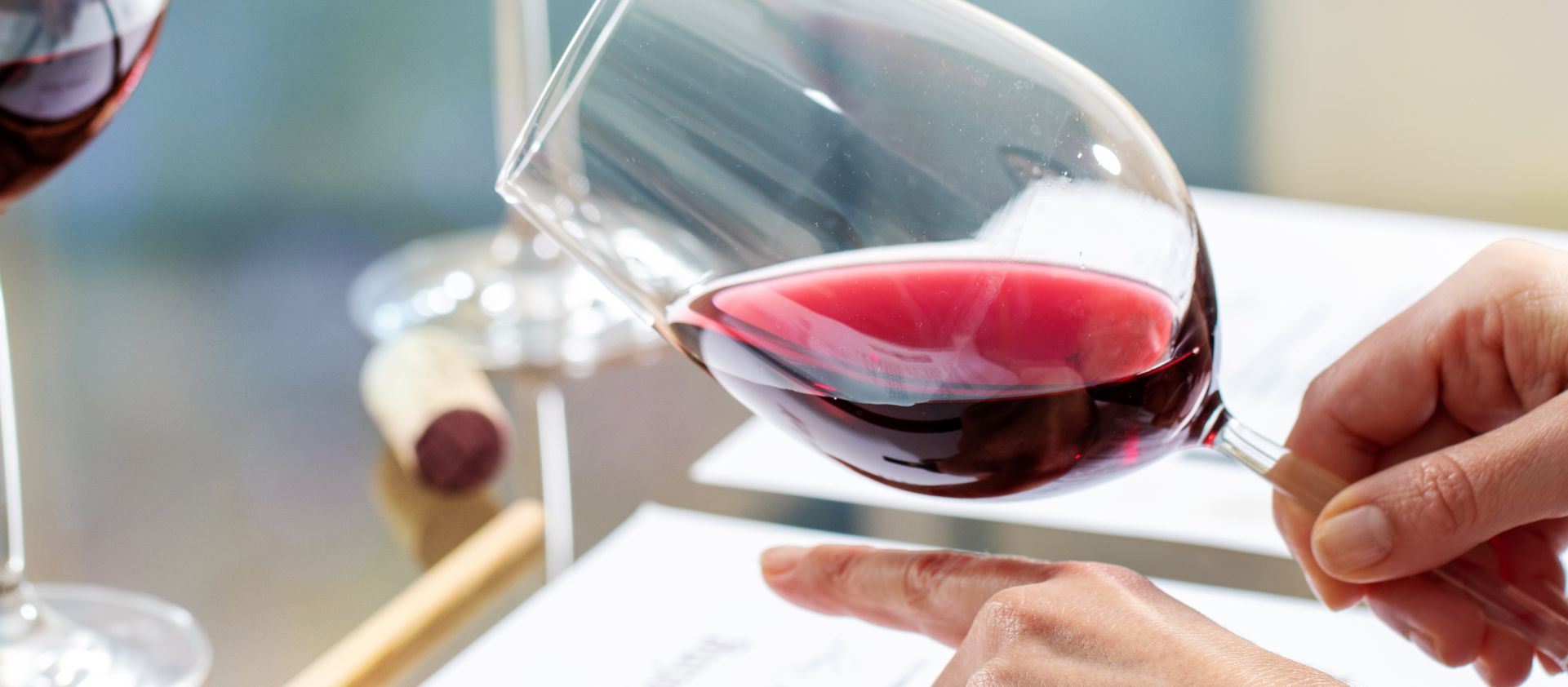 Cómo organizar una cata de vinos en casa: Guía práctica para principiantes